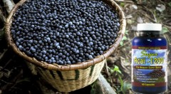 Zľava 63%: Objavte pozitívne účinky Acai Berry. Certifikovaný prírodný doplnok stravy len za 11,90€ vrátane poštovného. Mimoriadna akcia - vysoký obsah Acai Berry v jednej kapsuly, až 600 mg.